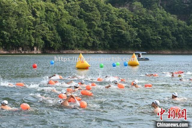 公开水域游泳赛场庞大选手阵容